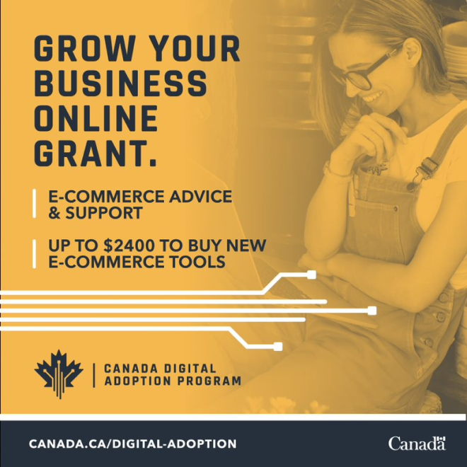 Canadian Small Business Grants 2024 Carin Nikoletta